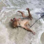 ヒメ日記 2025/05/13 09:49 投稿 めい 札幌しこたまクリニック