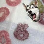 ヒメ日記 2025/05/14 10:59 投稿 めい 札幌しこたまクリニック