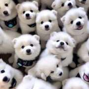 ヒメ日記 2025/05/15 13:10 投稿 めい 札幌しこたまクリニック