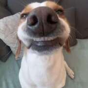 ヒメ日記 2025/05/21 10:09 投稿 めい 札幌しこたまクリニック