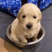 ヒメ日記 2025/05/21 12:12 投稿 めい 札幌しこたまクリニック