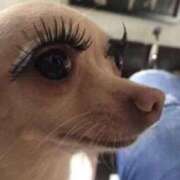 ヒメ日記 2025/05/22 12:09 投稿 めい 札幌しこたまクリニック