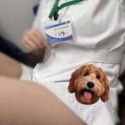 めい 会いたかったぁ♡ 札幌しこたまクリニック