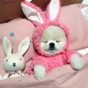 めい 昨日は😭 札幌しこたまクリニック