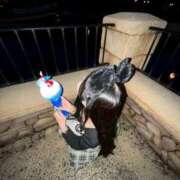 ヒメ日記 2025/07/12 18:17 投稿 らら LOVE MISSILE（ラブミサイル）