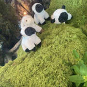 ヒメ日記 2025/07/19 21:00 投稿 みお YESグループ　華女