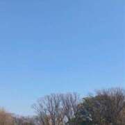 ヒメ日記 2025/03/25 00:34 投稿 はる 濃厚即19妻