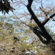 ヒメ日記 2025/04/13 18:07 投稿 はる 濃厚即19妻