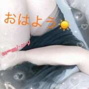 ヒメ日記 2025/05/20 09:14 投稿 はる 濃厚即19妻