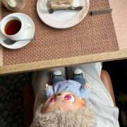 ヒメ日記 2025/09/12 00:17 投稿 コルネ バニーコレクション千葉栄町店