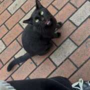 ヒメ日記 2025/10/16 20:51 投稿 コルネ バニーコレクション千葉栄町店