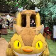 ヒメ日記 2025/11/24 01:52 投稿 コルネ バニーコレクション千葉栄町店