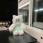 コルネ 🈵❤️‍🔥 バニーコレクション千葉栄町店