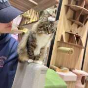 ヒメ日記 2026/02/02 19:45 投稿 コルネ バニーコレクション千葉栄町店