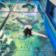 ヒメ日記 2026/03/22 17:00 投稿 コルネ バニーコレクション千葉栄町店