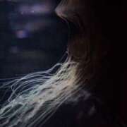 ヒメ日記 2026/04/03 23:22 投稿 コルネ バニーコレクション千葉栄町店