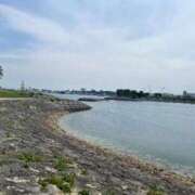 ヒメ日記 2025/04/24 16:52 投稿 りん フォーチュン