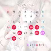 ヒメ日記 2025/12/07 16:11 投稿 りん フォーチュン