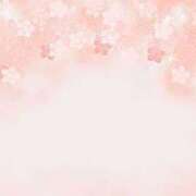 ヒメ日記 2025/03/12 20:04 投稿 わか 地元女子が勢揃い 宇都宮ガールズ