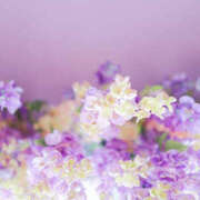 ヒメ日記 2025/03/14 20:36 投稿 わか 地元女子が勢揃い 宇都宮ガールズ