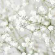 ヒメ日記 2025/03/14 23:04 投稿 わか 地元女子が勢揃い 宇都宮ガールズ