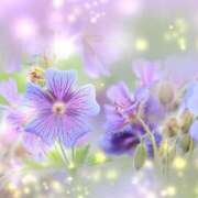 ヒメ日記 2025/03/20 00:26 投稿 わか 地元女子が勢揃い 宇都宮ガールズ