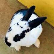 ヒメ日記 2025/03/23 01:14 投稿 わか 地元女子が勢揃い 宇都宮ガールズ