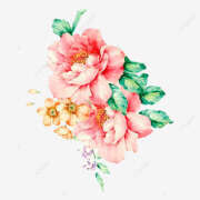 ヒメ日記 2025/09/02 07:14 投稿 わか 地元女子が勢揃い 宇都宮ガールズ