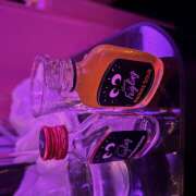 ヒメ日記 2025/07/30 01:27 投稿 かれん みつばちマーヤZ