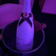 ヒメ日記 2025/08/21 12:12 投稿 かれん みつばちマーヤZ