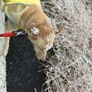 ヒメ日記 2025/03/09 14:09 投稿 かのん エロいお姉さん倶楽部