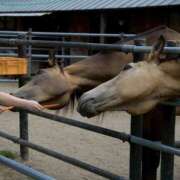 ヒメ日記 2025/09/11 14:47 投稿 かのん エロいお姉さん倶楽部