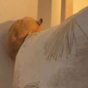 ヒメ日記 2025/12/23 17:44 投稿 かのん エロいお姉さん倶楽部