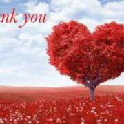 ヒメ日記 2025/03/15 09:06 投稿 なつき 熟女の風俗アウトレット大垣安八羽島店