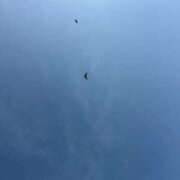 ヒメ日記 2025/04/03 20:26 投稿 しほ 激安ピーチ