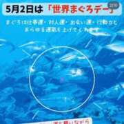 ヒメ日記 2025/05/02 13:19 投稿 にこ 激安ピーチ