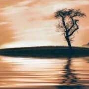 ヒメ日記 2025/05/26 20:14 投稿 にこ 激安ピーチ