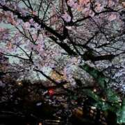 ヒメ日記 2026/04/15 19:29 投稿 にこ 激安ピーチ