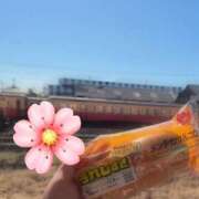 ヒメ日記 2025/03/18 12:59 投稿 ももな 市原五井蘇我ちゃんこ