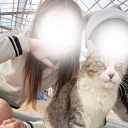 ヒメ日記 2025/04/12 21:01 投稿 らむ non-non 神田(ノンノン神田)