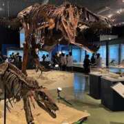 ヒメ日記 2025/08/19 12:51 投稿 まなみ☆〇クシー女優 ママらんど 宮崎店