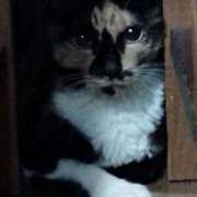 ヒメ日記 2026/02/10 14:21 投稿 まなみ☆〇クシー女優 ママらんど 宮崎店