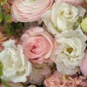 ヒメ日記 2025/04/03 00:36 投稿 新人・晴(はる) グランドオペラ福岡