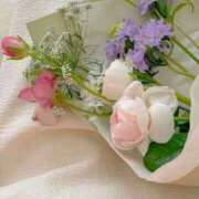 ヒメ日記 2025/04/04 17:35 投稿 新人・晴(はる) グランドオペラ福岡