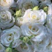 ヒメ日記 2025/04/07 18:02 投稿 新人・晴(はる) グランドオペラ福岡