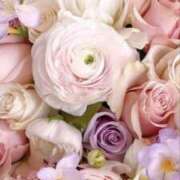 ヒメ日記 2025/04/07 19:51 投稿 新人・晴(はる) グランドオペラ福岡