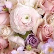 ヒメ日記 2025/04/08 20:27 投稿 新人・晴(はる) グランドオペラ福岡