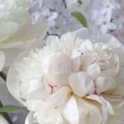 ヒメ日記 2025/04/09 17:31 投稿 新人・晴(はる) グランドオペラ福岡