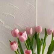 ヒメ日記 2025/04/13 13:41 投稿 新人・晴(はる) グランドオペラ福岡