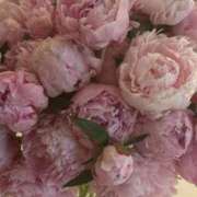 ヒメ日記 2025/04/13 15:02 投稿 新人・晴(はる) グランドオペラ福岡